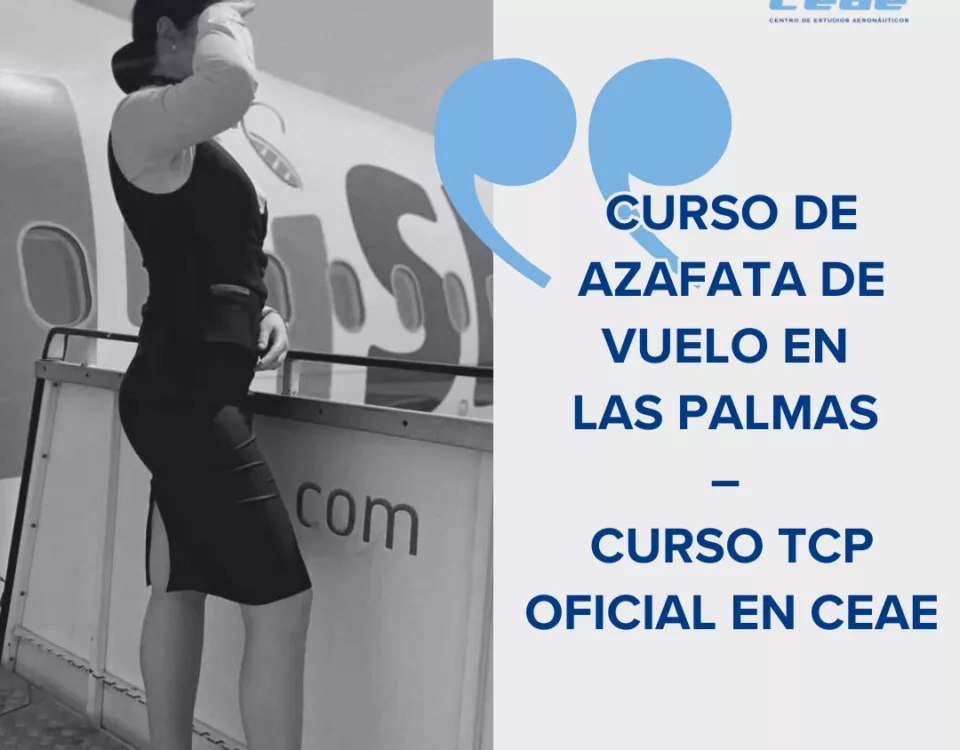 curso azafata vuelo las palmas ceae